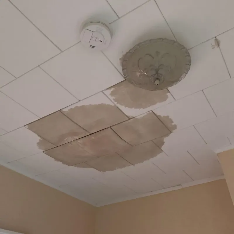 Ceiling Water Damage Repair in Wakefield-Peacedale, RI
