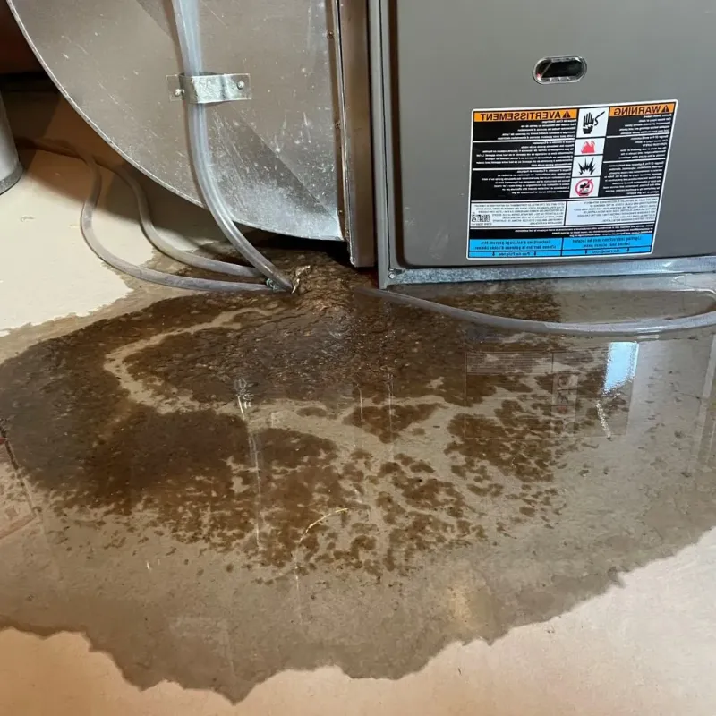 Pipe Burst and Leak Restoration in Wakefield-Peacedale, RI